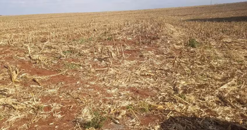 Fazenda para Venda em Tuneiras do Oeste, Bairro Ouro Verde