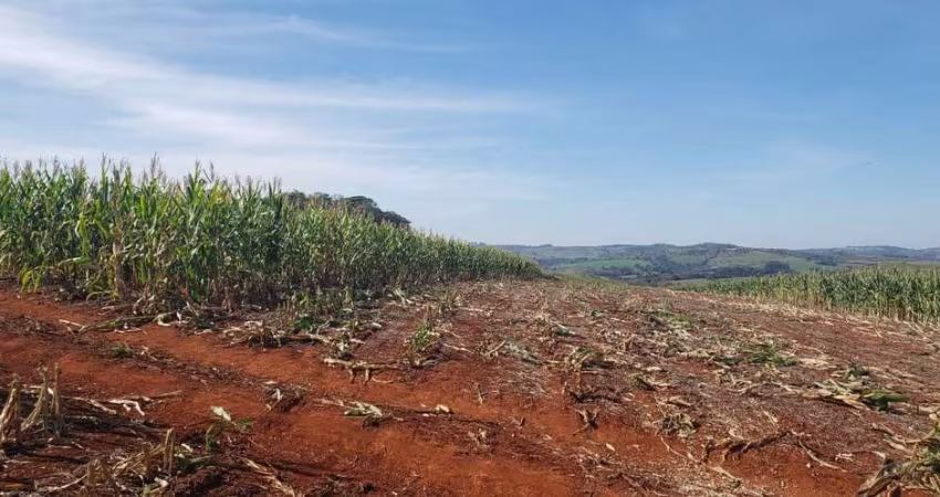 Fazenda para Venda em Iretama, Agua Fria