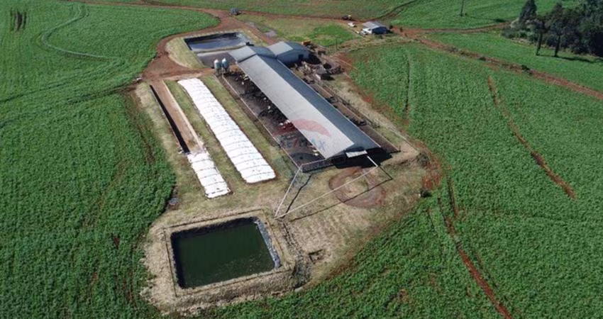 SITIO/CONFINAMENTO À VENDA EM GUARANIAÇU/PR