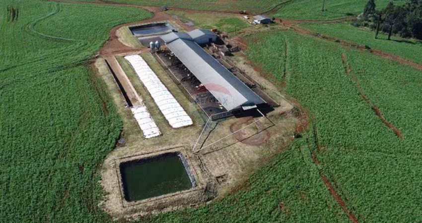 Fazenda à venda no Centro, Guaraniaçu 