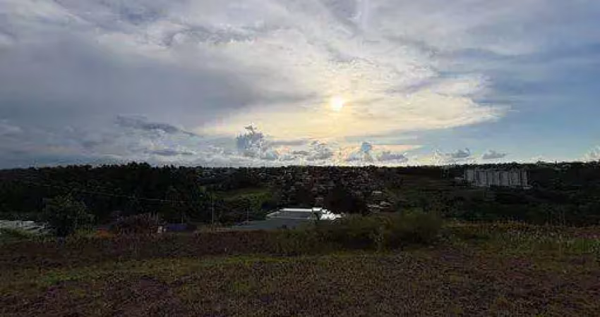Terreno-lote para venda  no bairro cascavel velho em cascavel