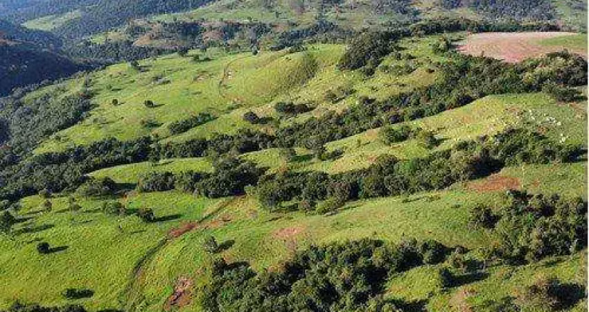 Chácara / sítio com 1 quarto à venda na Avenida Paraná, S/N, Centro, Campo Bonito