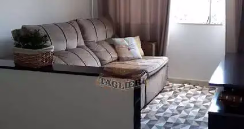 Apartamento a venda 56m² com 2 dormitórios são mateus