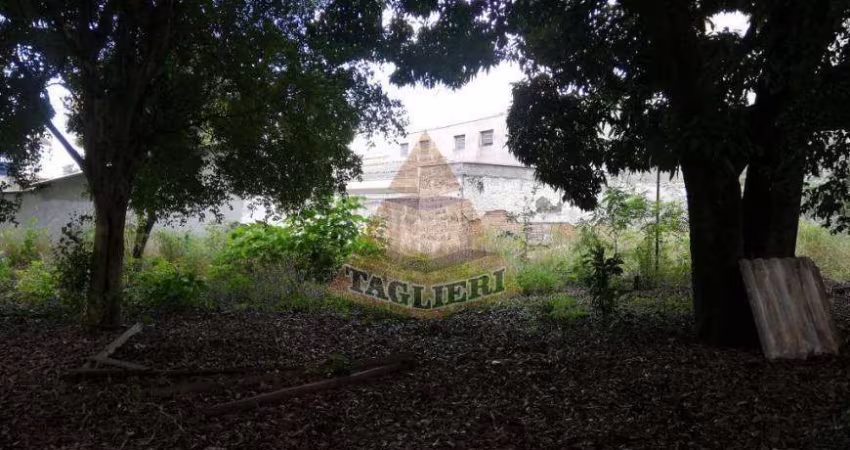 Terreno Amplo (750 metros²) Tatuapé