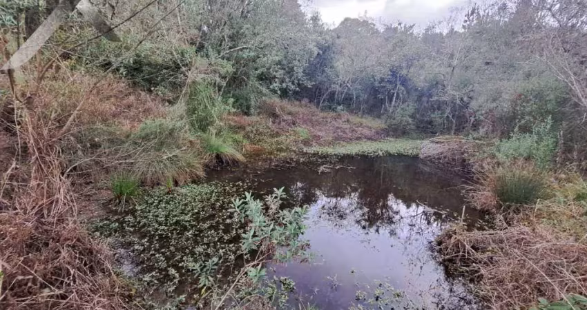 Chácara / sítio com 2 quartos à venda na Rodovia Pr 281 Km, SEM, Tabatinga, Tijucas do Sul