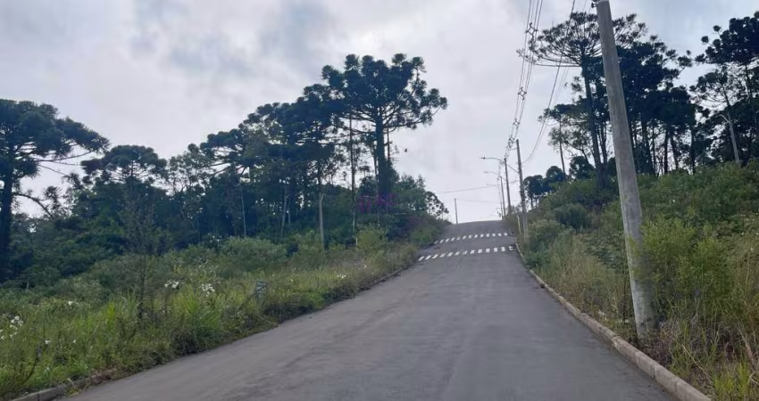 Terreno à venda na Rua Felippe Michaelsen, Vila Olinda, Nova Petrópolis