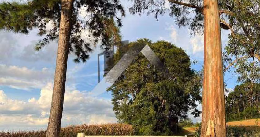Chácara / sítio com 2 quartos à venda na Estrada Principal, 000, Centro, Mandirituba