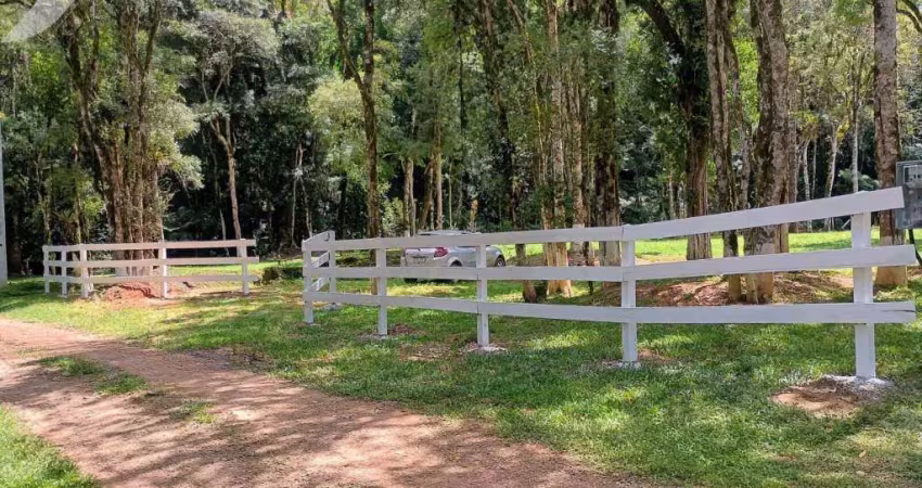 Chácara / sítio à venda na Estrada da Guapiara, Areia Branca dos Assis, Mandirituba