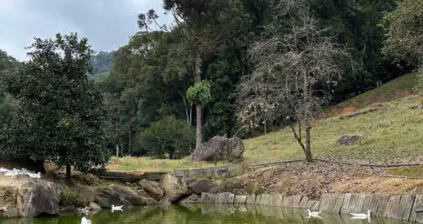 Chácara / sítio à venda no Centro, Rio dos Cedros 