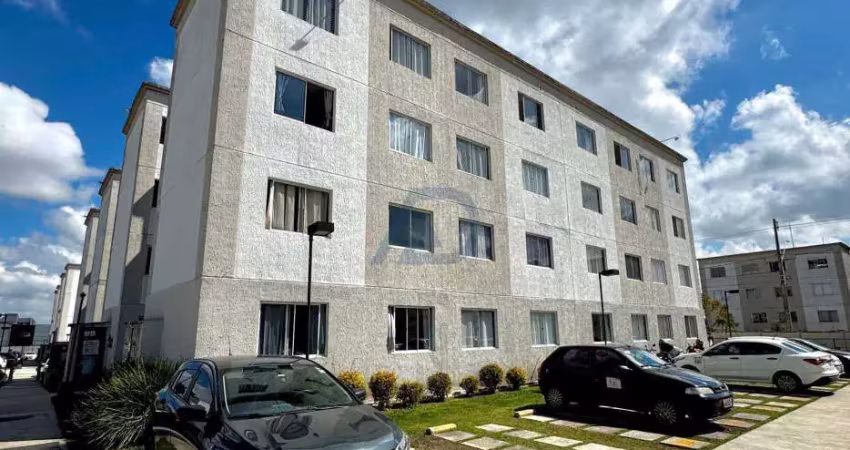 Apartamento com 2 quartos à venda na Rua Dolovico Pissaia, Parque da Fonte, São José dos Pinhais