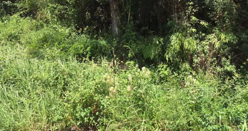 Terreno com face Leste no bairro Itacorubi