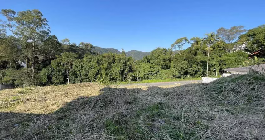 Terreno à venda na Dovener Amaro Cardoso, --, João Paulo, Florianópolis