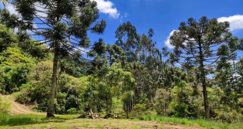 Terreno de 25774.8m² no bairro Rancho Queimado