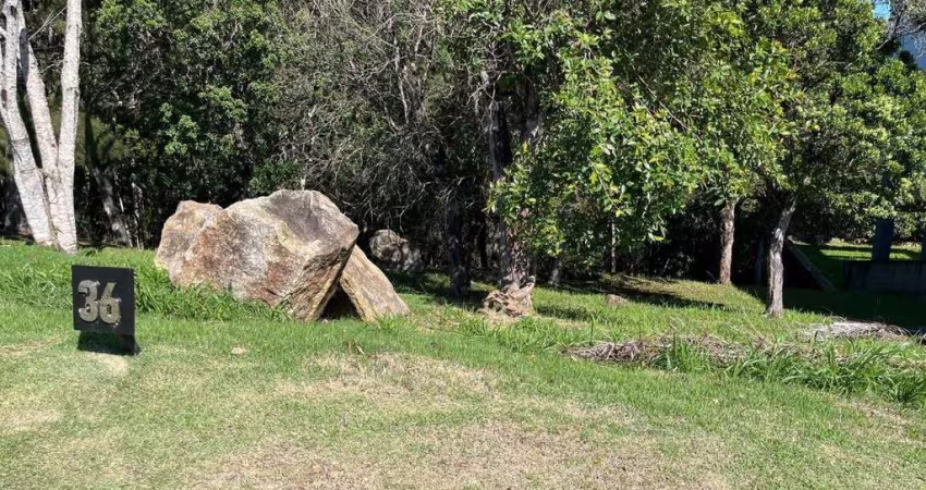 Terreno com 818,20 m² em Cacupé
