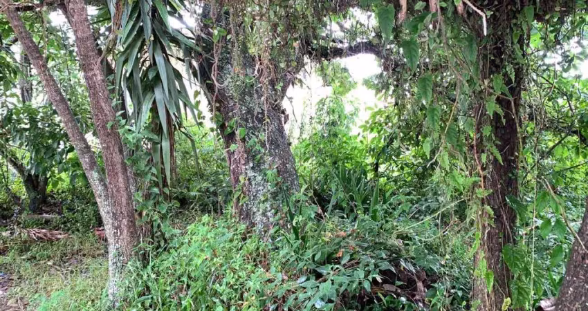 Terreno à venda na Avenida dos Salmões, --, Jurerê Internacional, Florianópolis