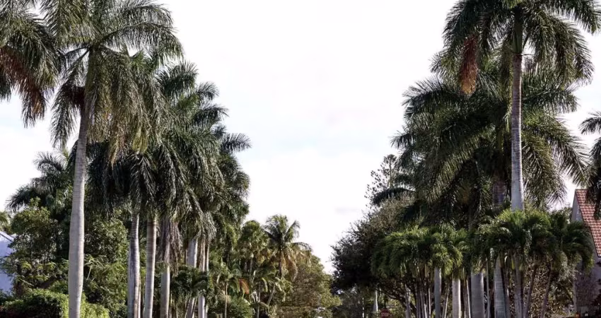 Terreno com 366 m² no bairro  campeche, florianópolis  sc