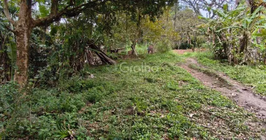 Terreno à venda na Rua Rosa, --, Pantanal, Florianópolis