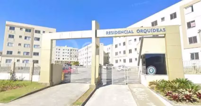 Apartamento com 2 quartos à venda na Sebastião Alezemiro Dos Santos, --, Bela Vista, Palhoça