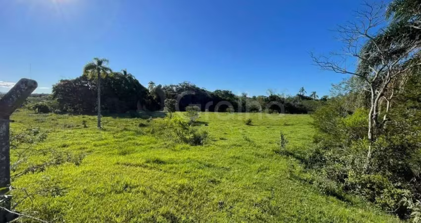 Terreno à venda na Rodovia Aparício Ramos Cordeiro, --, Tapera, Florianópolis
