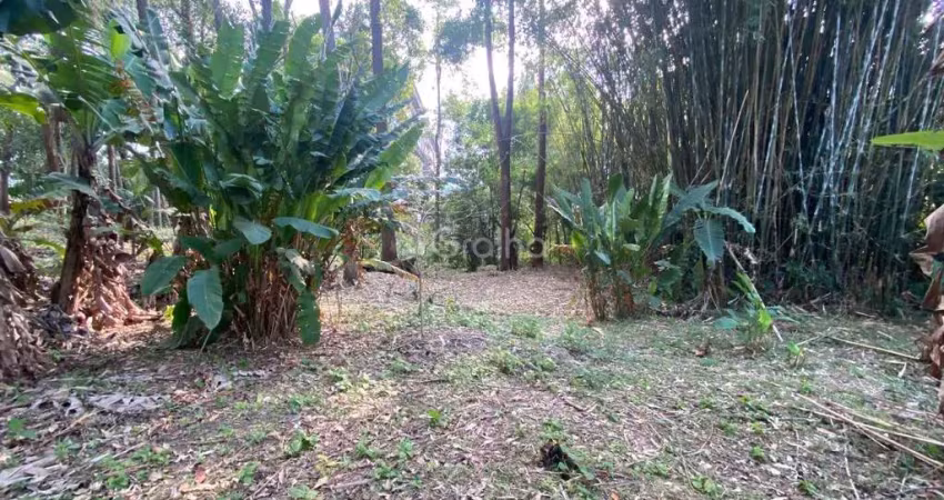 Terreno à venda na Servidão Alcides Anacleto Vieira, --, Pantanal, Florianópolis