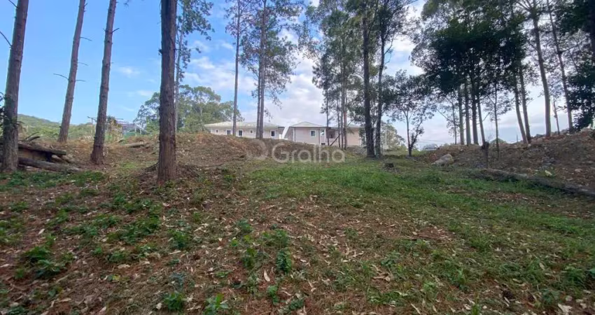 Terreno à venda na Servidão Alcides Anacleto Vieira, --, Pantanal, Florianópolis