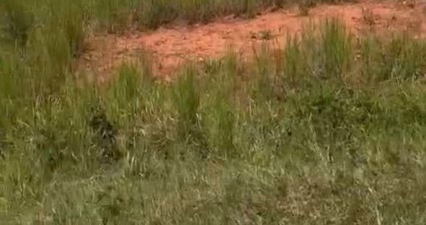 Terreno em condomínio fechado à venda na Rua Quatro, 200, Terra Preta, Mairiporã