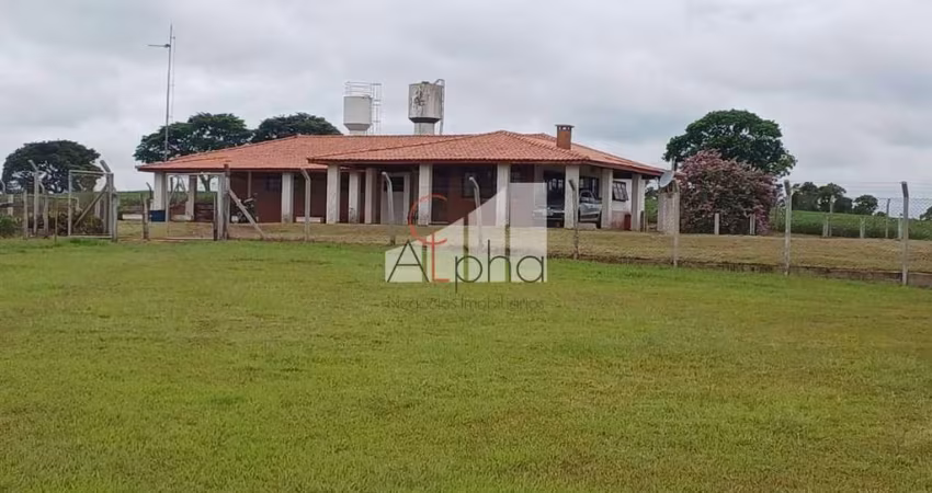 Chácara / sítio com 4 quartos à venda na Rua Coronel Licínio, 1, Centro, Buri