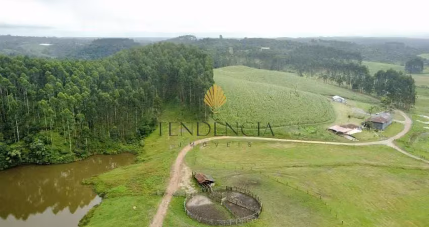 Fazenda à venda, 6.848.600.00 m2, colônia murici, sao jose dos pinhais - pr