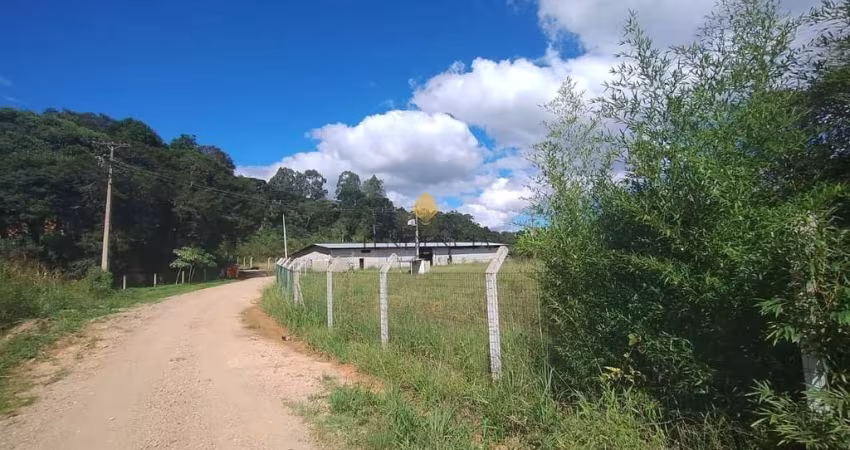 Terreno à venda, 28.652 m2 por R  4.599.000,00 - Centro - Tijucas do Sul PR