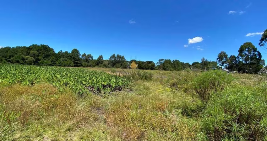 Chácara à venda, 57.862 m2,  por R  649.000,00 - Tabatinga - Tijucas do Sul PR