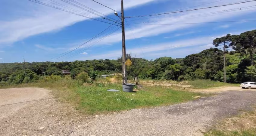Terreno à venda, 10246 m  por R  2.499.000,00 - Centro - Tijucas do Sul PR