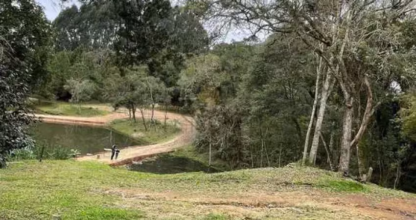 Chácara à venda,12859 m2, cotia - sao jose dos pinhais - pr