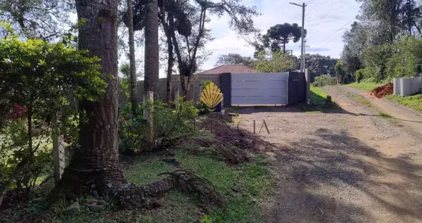 Chácara à venda, 2.750 m2 por r  749.000,00 - lagoinha - tijucas do sul pr