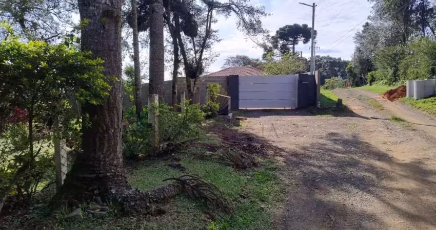 Chácara à venda, 2.750 m2 por r  749.000,00 - lagoinha - tijucas do sul pr