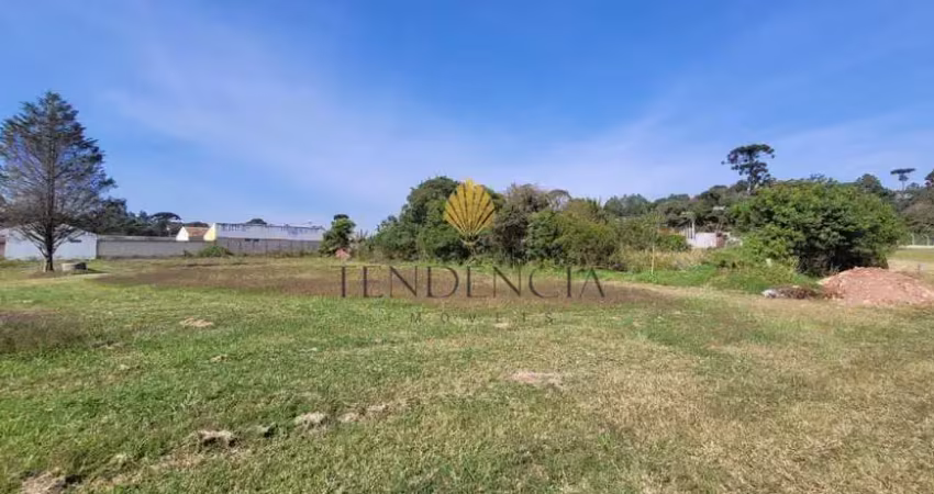 Terreno à venda, 3.093 m2 por r  949.000,00 - cachoeira - são josé dos pinhais pr