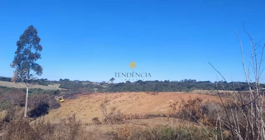 Terreno à venda, 29040 m2, SAO JOSE DOS PINHAIS - PR