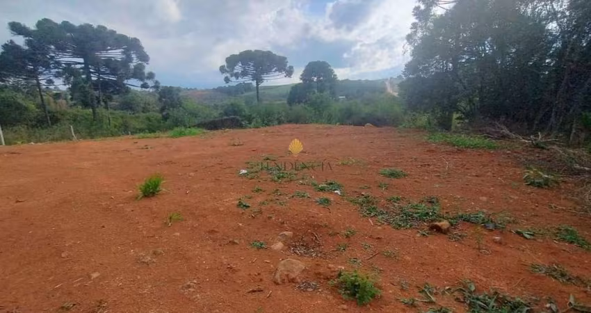 Terreno à venda, 800 m2, LOCALIDADE DE FERREIRA, QUITANDINHA - PR