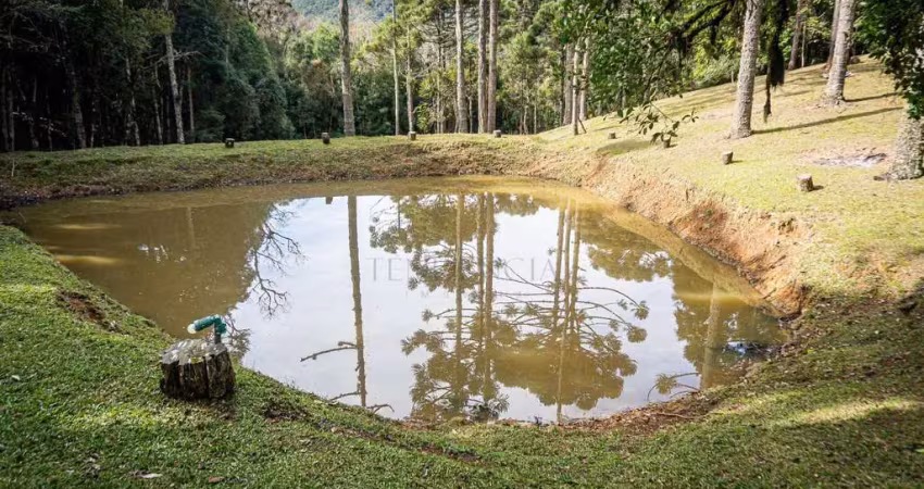 Chácara à venda, 72.600 m2, roça velha, são josé dos pinhais - pr