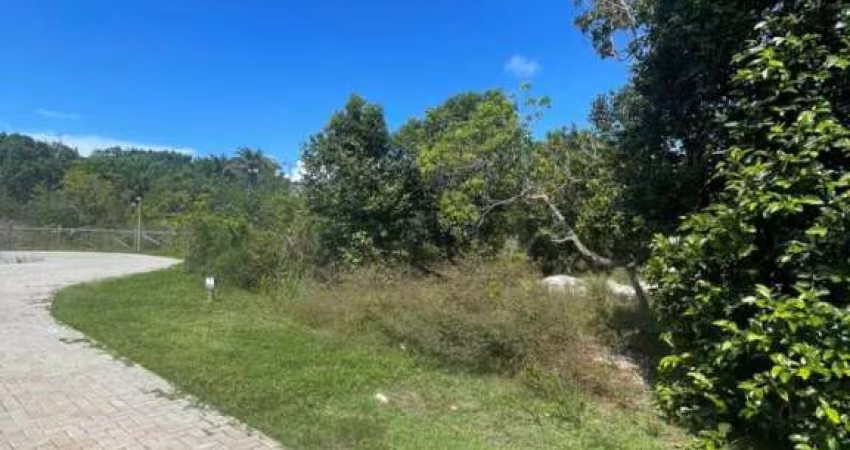Oportunidade no Condomínio Praia Bella. Terreno 700 m² por R$ 850.000 - Praia do Forte - Mata de São João/BA
