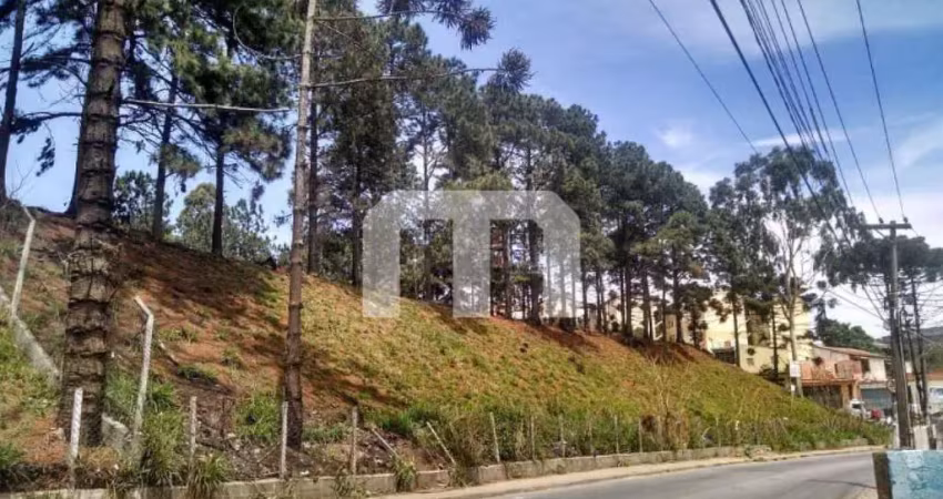 Terreno à venda na Estrada de São Bento, 1300, Jardim Amazonas, Itaquaquecetuba
