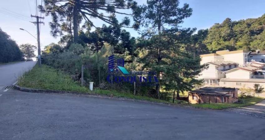 Terreno à venda na Avenida Padre Raul Accorsi, Zorzi, Caxias do Sul