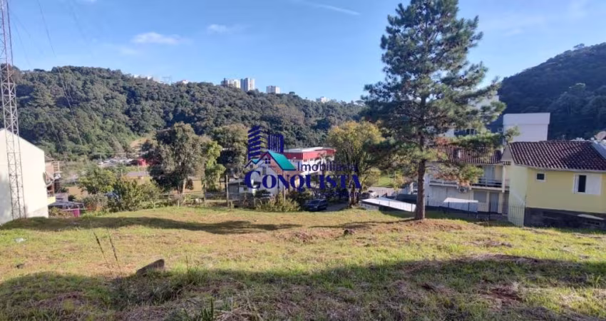 Terreno à venda na Luiz Gaio, Zorzi, Caxias do Sul