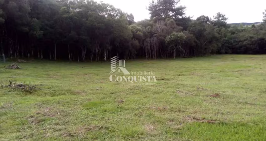 Chácara / sítio à venda na Linha Marmelero, 111, Criúva, Caxias do Sul