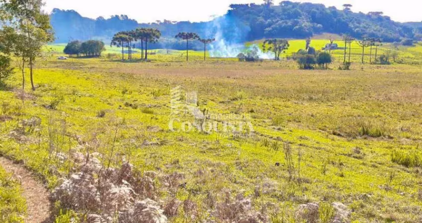 Terreno à venda na 15 de Novembro, 1900, Criúva, Caxias do Sul