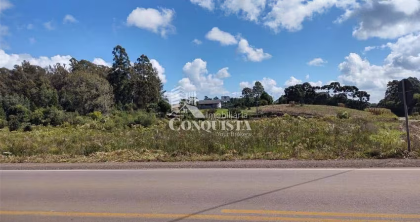 Terreno à venda na Vicinal Mato Perso, Forqueta, Caxias do Sul