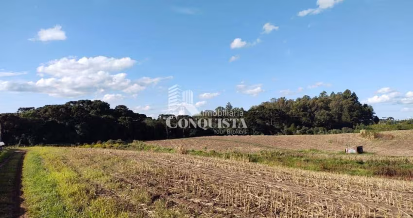 Terreno à venda na 1° Distrito de Farroupilha, Linha Palmeiro, Farroupilha