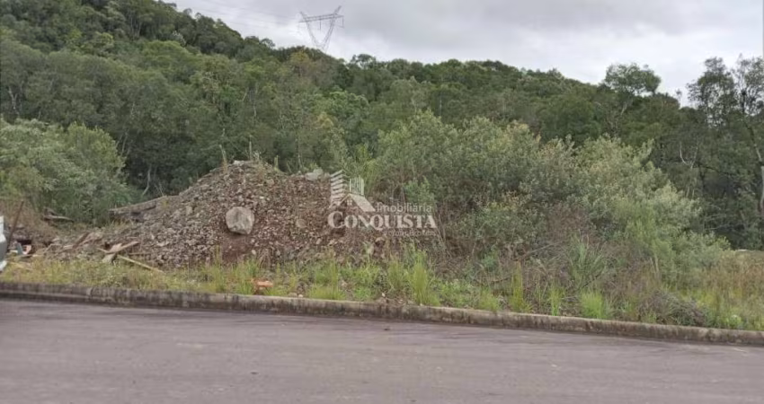 Terreno à venda na Rua Vereador Pedro Rech, 9090, São Giácomo, Caxias do Sul