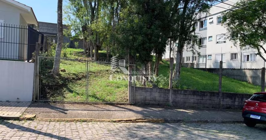 Terreno à venda na Rua Hercília Petry, Ana Rech, Caxias do Sul