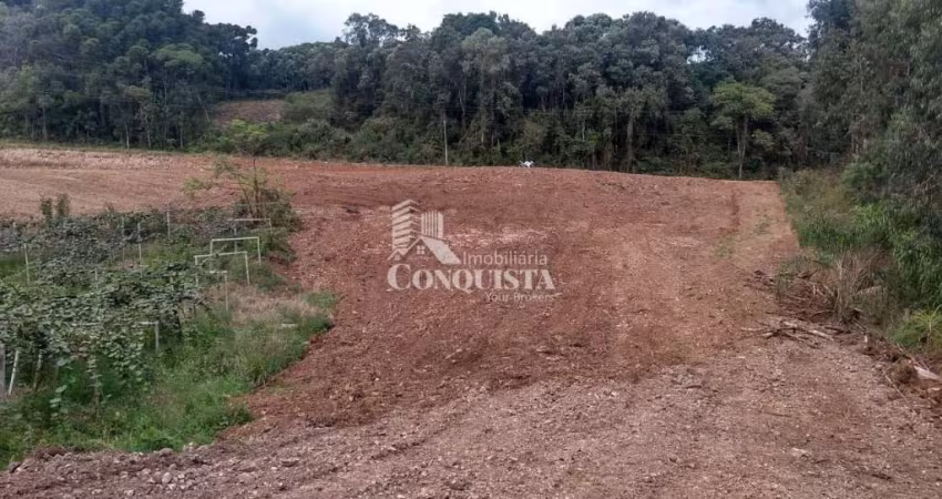 Terreno à venda na x, 22, Parada Cristal, Flores da Cunha
