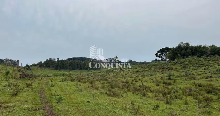 Terreno à venda na Junto A Criuva, Criúva, Caxias do Sul